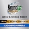 Roundup Roundup Weed and Grass Killer Concentrate 32 oz 5378106 - alternate 8
